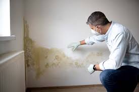 Best Black Mold Removal  in Laureles, TX